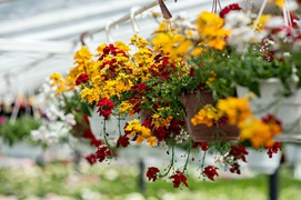 Pokaż Mamie, jak bardzo ją kochasz