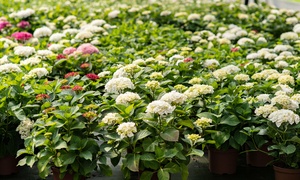 Pokaż Mamie, jak bardzo ją kochasz