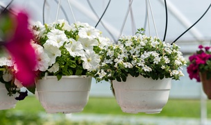 Pokaż Mamie, jak bardzo ją kochasz