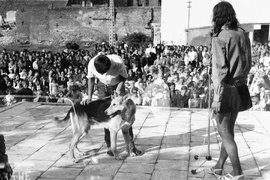 Wkrótce minie 50 lat od zakończenia Operacji 1001 Frombork. Poszukiwani jej uczestnicy zdjęcie nr 285389
