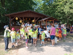 Festyn Pszczoły za nami