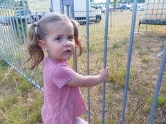 Muzyczny piknik na Górze Chrobrego