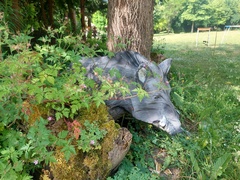 Kontrola w Fundacji Dumni z Elbląga. Prezes pokazuje posiadłość, ale dokumentów nie