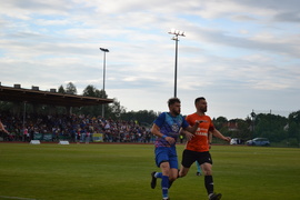 Puchar dla Concordii