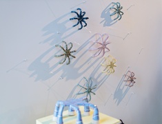 Elblążanie na Salonie