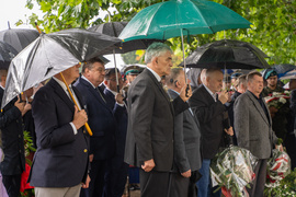 Elbląg pamięta o powstańcach