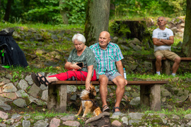 Operowo i operetkowo w Bażantarni