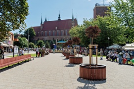 50. rocznica zakończenia Operacji 1001 Frombork „To bardzo wzruszający dzień”