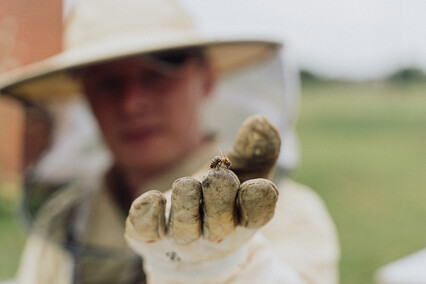 „Kosmos w zabytkowych drukach Biblioteki Elbląskiej”: wernisaż wystawy