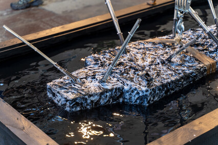 Międzynarodowo w galerii