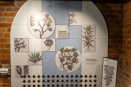 Elkamera przybliża historię Elbląga i miejskiego księgozbioru