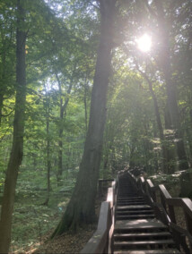 Pielęgnują to, co ważne