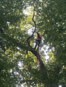 Pielęgnują to, co ważne