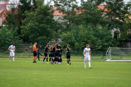 Pogoniona Concordia