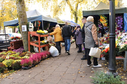 Elblążanie przygotowują się do Wszystkich Świętych