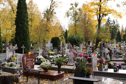 Elblążanie przygotowują się do Wszystkich Świętych