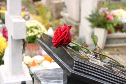 Elblążanie przygotowują się do Wszystkich Świętych