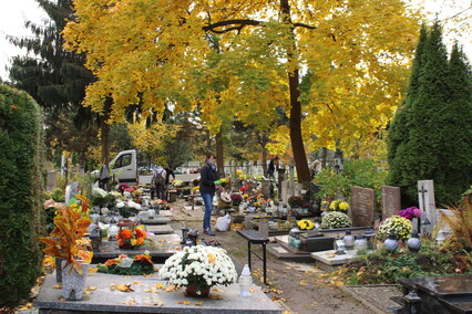 Elblążanie przygotowują się do Wszystkich Świętych