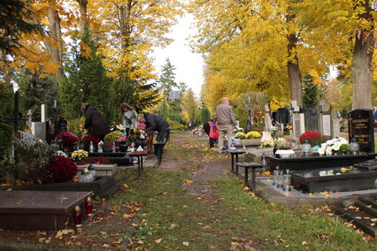 Elblążanie przygotowują się do Wszystkich Świętych