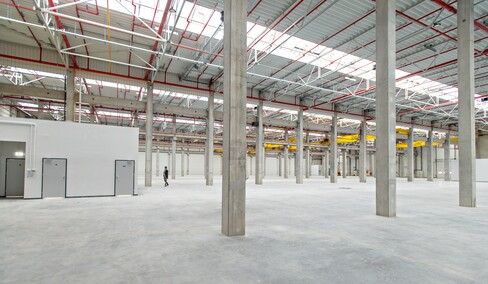 Dobra Novina, czyli logistyka, produkcja i magazynowanie na najwyższym poziomie