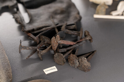 Z wizytą w Kaponierze