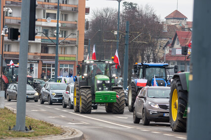 \"Potrzebujemy konkretnych rozwiązań\". Rolnicy protestowali na ulicach Elbląga