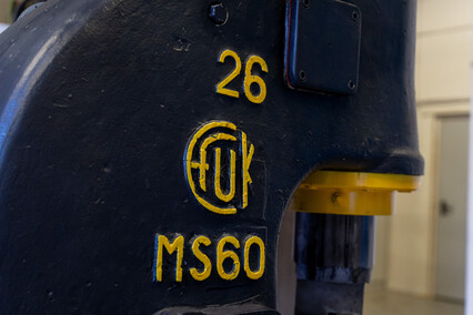 Szerszeń z Elbląga Szerszeń z Elbląga