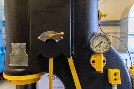 Szerszeń z Elbląga Szerszeń z Elbląga