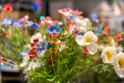 Do ogrodu i na działkę z JYSK
