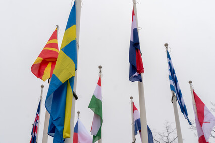 Przywitali Szwecję w NATO