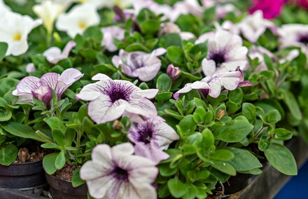 Przyroda, która scala pokolenia