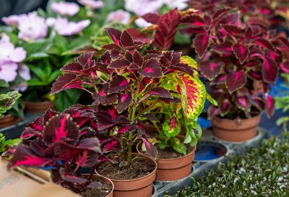 Przyroda, która scala pokolenia