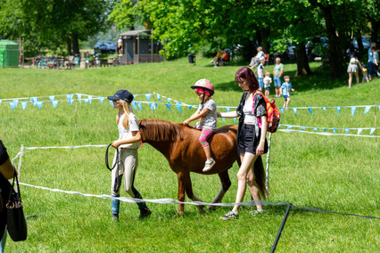 Piąty raz pobiegli dla hospicjum