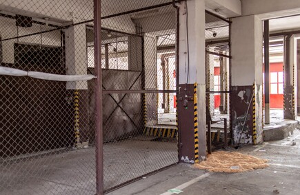 W dawnej komendzie Żubr hasa