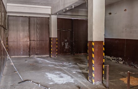 W dawnej komendzie Żubr hasa