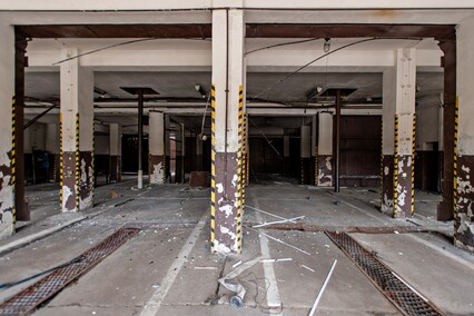 W dawnej komendzie Żubr hasa