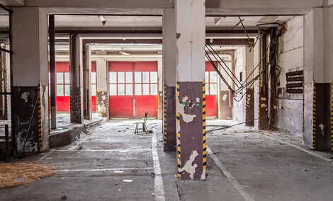 W dawnej komendzie Żubr hasa