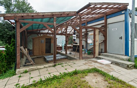 To ma być koniec łańcuchów, pseudohodowli i psiego smalcu