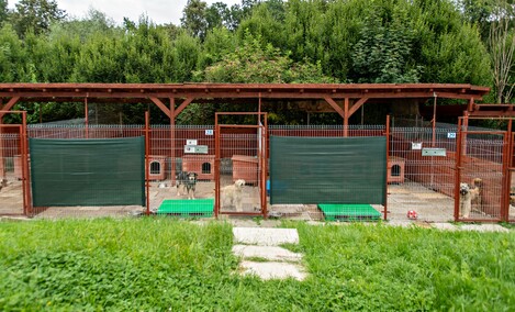 To ma być koniec łańcuchów, pseudohodowli i psiego smalcu