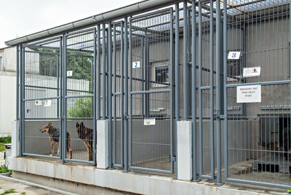 To ma być koniec łańcuchów, pseudohodowli i psiego smalcu