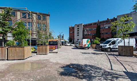 Gdańskim śladem Ferdynanda Schichaua