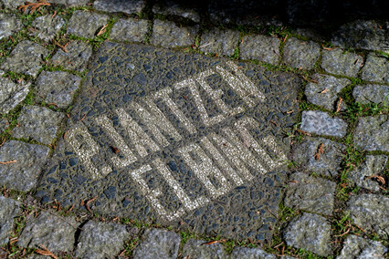 Skarby elbląskiej ziemi