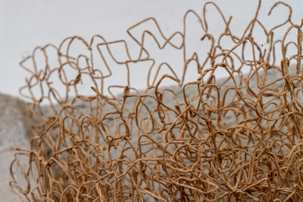 Słowa wpisane w przestrzeń