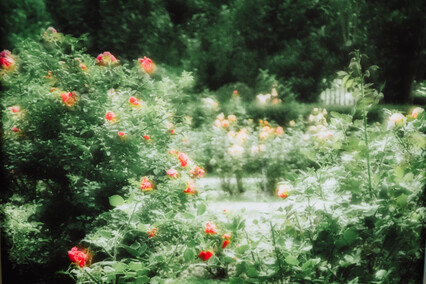 Celebracja inności w Galerii EL