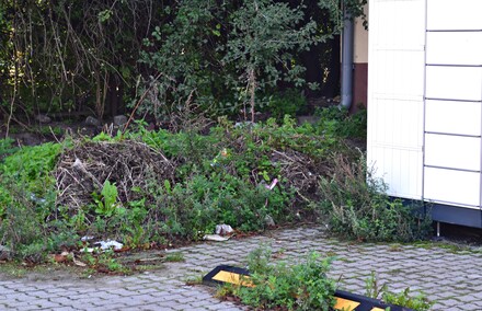 Do śmietnika za daleko... Do śmietnika za daleko...