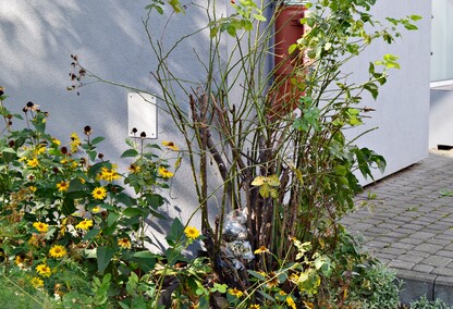 Do śmietnika za daleko... Do śmietnika za daleko...