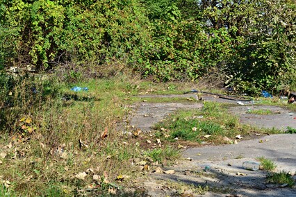 Do śmietnika za daleko...