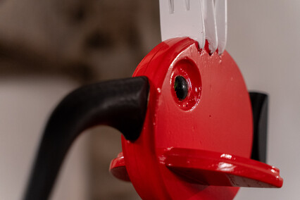 Lotomotywy w Kamieniczkach Elbląskich