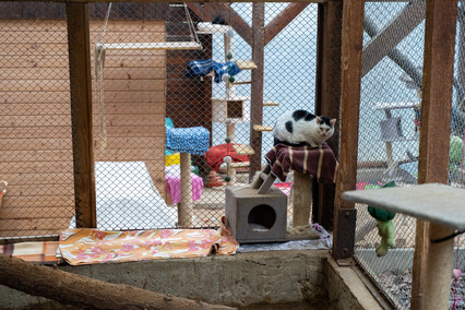 Patryk Bilski: Powiem przekornie, że wolałbym tej pracy nie mieć