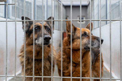 Patryk Bilski: Powiem przekornie, że wolałbym tej pracy nie mieć